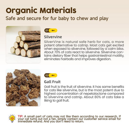 PurrClean™ Silverine Dental Sticks