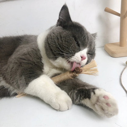 PurrClean™ Silverine Dental Sticks