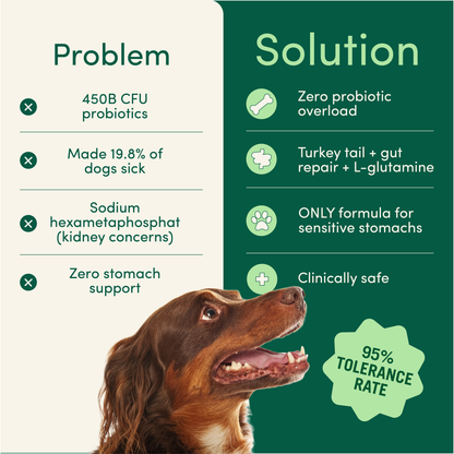 Breath Buddy Dog Dental Powder